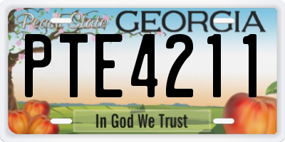 GA license plate PTE4211