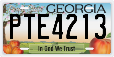 GA license plate PTE4213