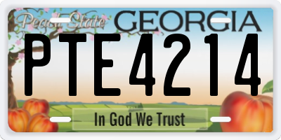 GA license plate PTE4214
