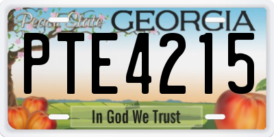 GA license plate PTE4215