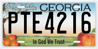 GA license plate PTE4216