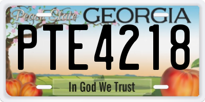 GA license plate PTE4218