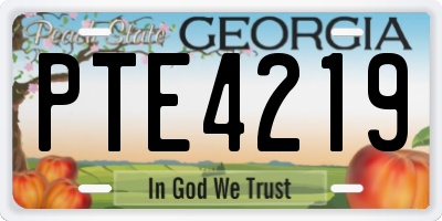 GA license plate PTE4219