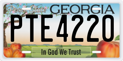 GA license plate PTE4220