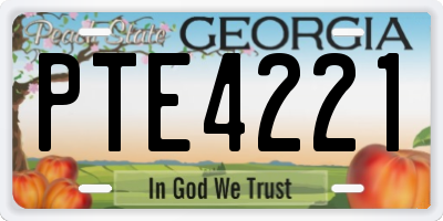 GA license plate PTE4221