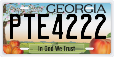 GA license plate PTE4222