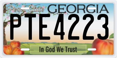 GA license plate PTE4223