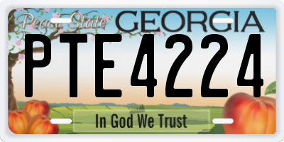 GA license plate PTE4224