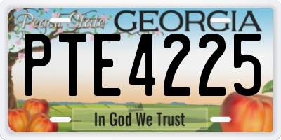 GA license plate PTE4225