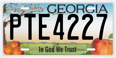 GA license plate PTE4227