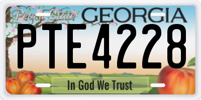 GA license plate PTE4228