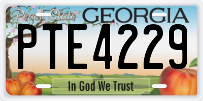 GA license plate PTE4229