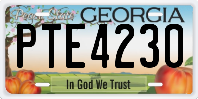 GA license plate PTE4230