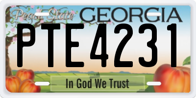 GA license plate PTE4231