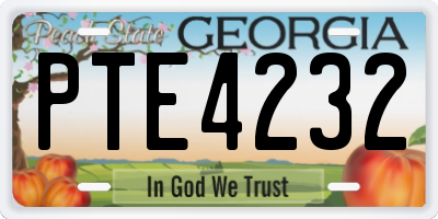GA license plate PTE4232
