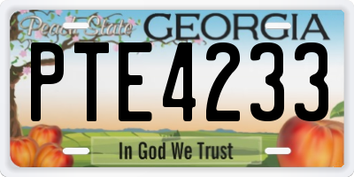 GA license plate PTE4233