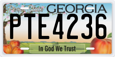 GA license plate PTE4236