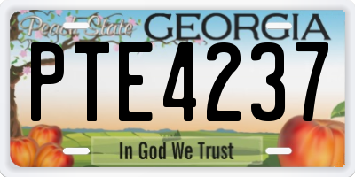 GA license plate PTE4237