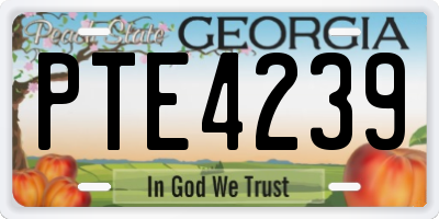 GA license plate PTE4239