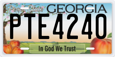 GA license plate PTE4240