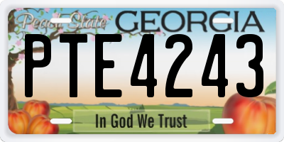 GA license plate PTE4243