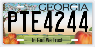 GA license plate PTE4244