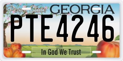 GA license plate PTE4246