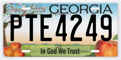 GA license plate PTE4249