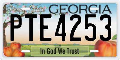 GA license plate PTE4253