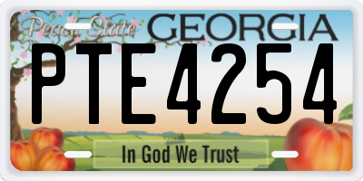 GA license plate PTE4254