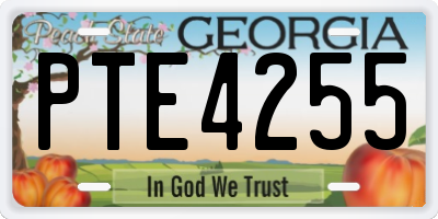 GA license plate PTE4255