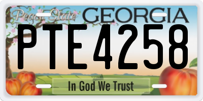 GA license plate PTE4258