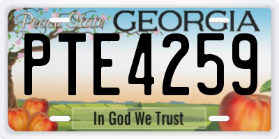 GA license plate PTE4259