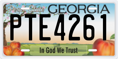 GA license plate PTE4261
