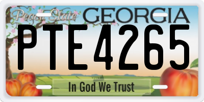 GA license plate PTE4265
