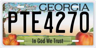 GA license plate PTE4270