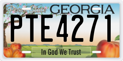 GA license plate PTE4271