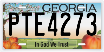 GA license plate PTE4273