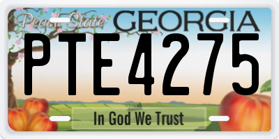 GA license plate PTE4275