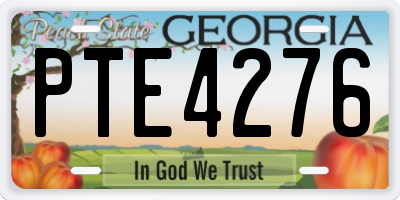 GA license plate PTE4276
