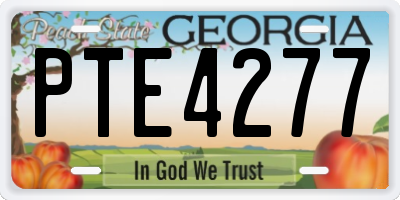 GA license plate PTE4277