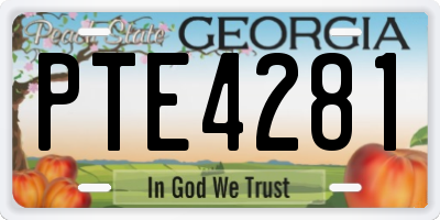 GA license plate PTE4281