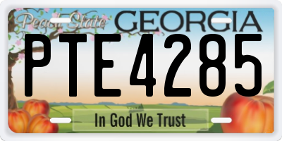 GA license plate PTE4285