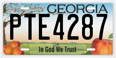 GA license plate PTE4287