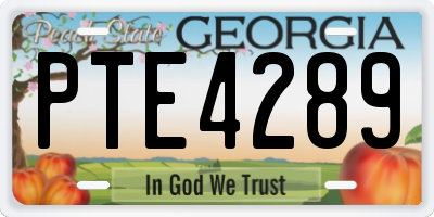 GA license plate PTE4289