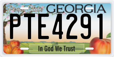 GA license plate PTE4291