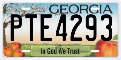 GA license plate PTE4293