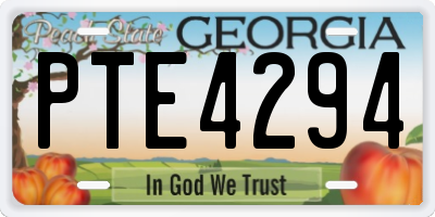 GA license plate PTE4294