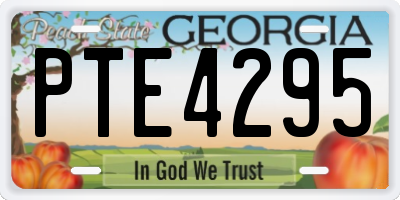 GA license plate PTE4295