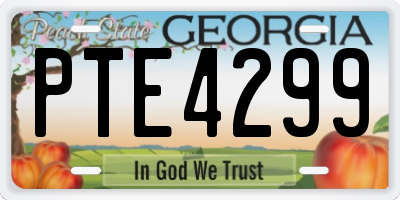 GA license plate PTE4299